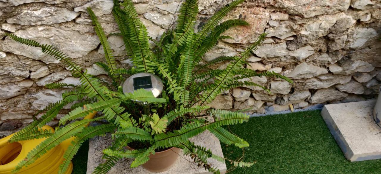 Apartment Milin By The Sea-Zadar-Diklo Εξωτερικό φωτογραφία