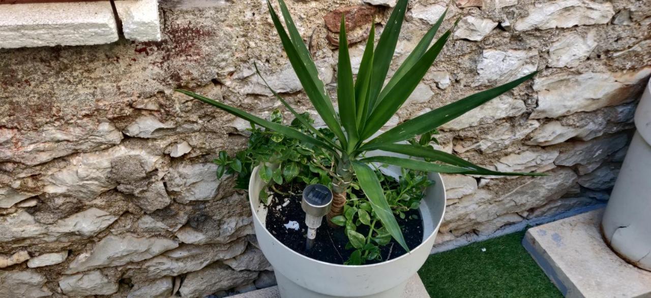 Apartment Milin By The Sea-Zadar-Diklo Εξωτερικό φωτογραφία